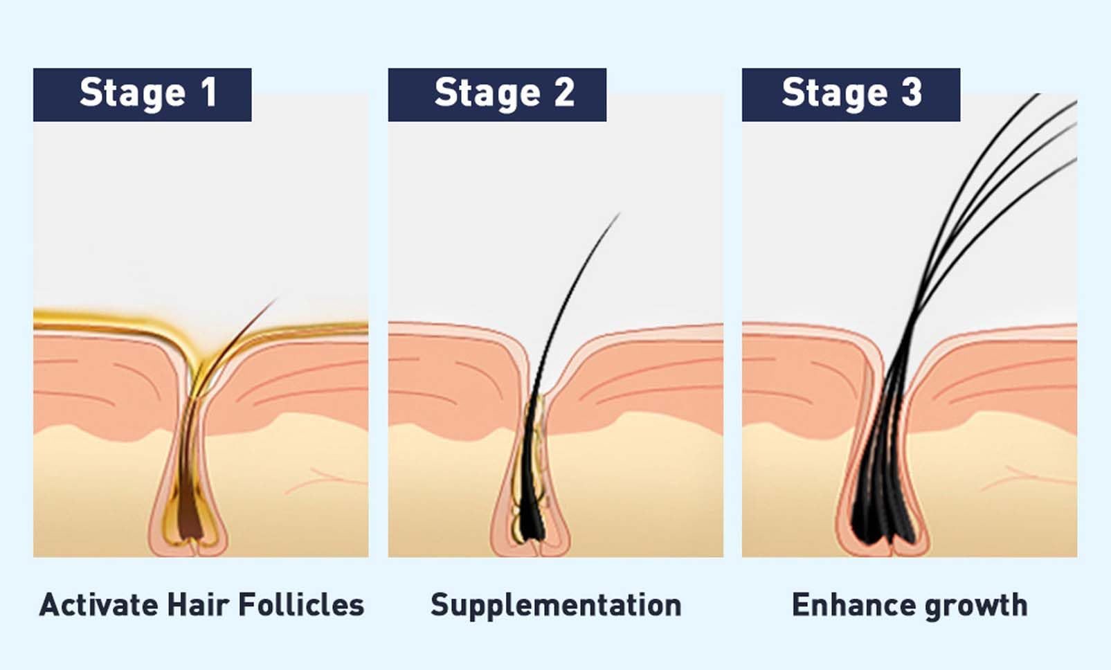 The Boomlash 3-Step Lash Transformation System